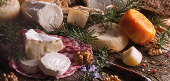 Käse aus dem Burgund © PUNTO STUDIO FOTO AG-fotolia.com