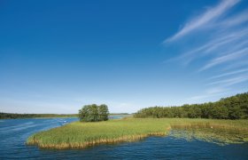  &copy; mskorpion-shutterstock.com/2013