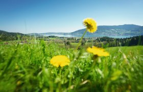  © Der Tegernsee, Dietmar Denger