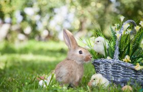  &copy; Smart Future - stock.adobe.com