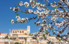  &copy; ladistock - stock.adobe.com