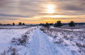  &copy; foto-select - stock.adobe.com